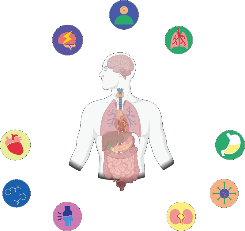 OrganAge report — nine body systems
